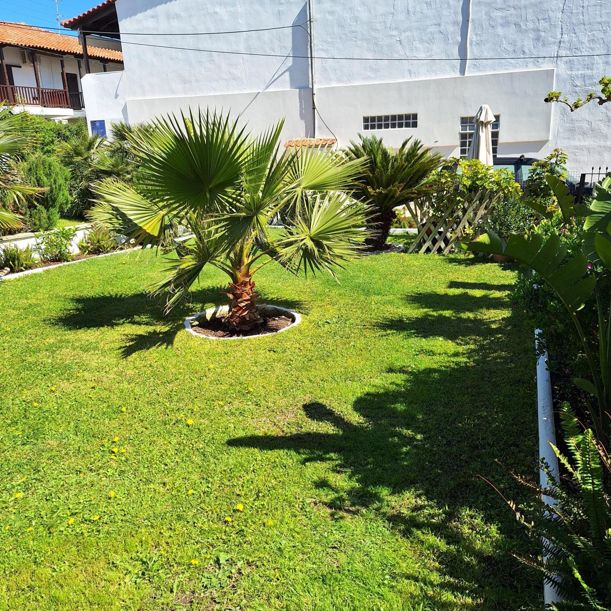 Villa Thalassa Apartments Пефкохорі Екстер'єр фото